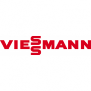 Viessmann Flues