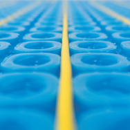 Membrane