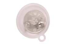 Worcester - Diaphragm (F)