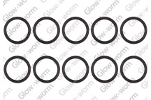 Glow-worm - O-Ring, (X10)