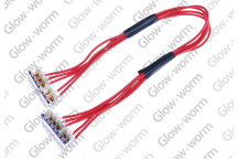 Glow-worm - Appliance Interface Harness
