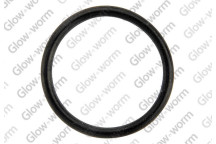 Glow-worm - O Ring