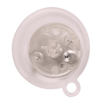 Worcester - Diaphragm (F)