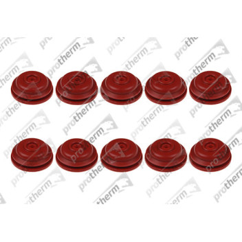 Protherm - Gasket, (X10)