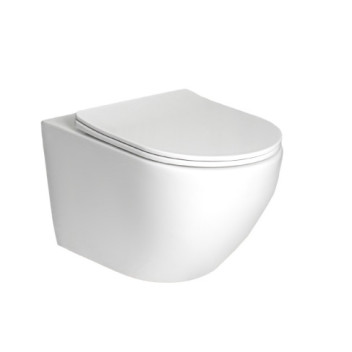 Toilet - California - Wall Hung Pan & Seat