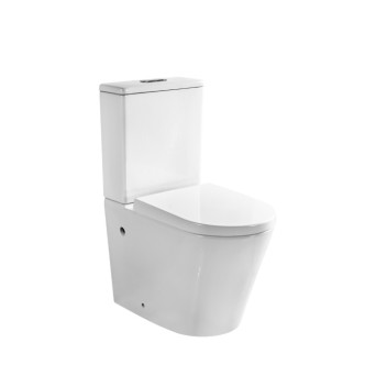 Toilet - California - Closed Back