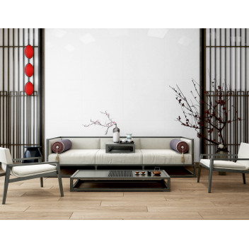 Porcelain - Super White - 300X600
