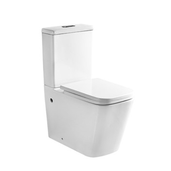 Toilet - Ice - Closed Back