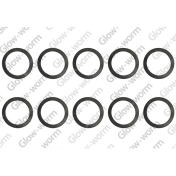 Sealing Ring, (X10) *Obsolete*